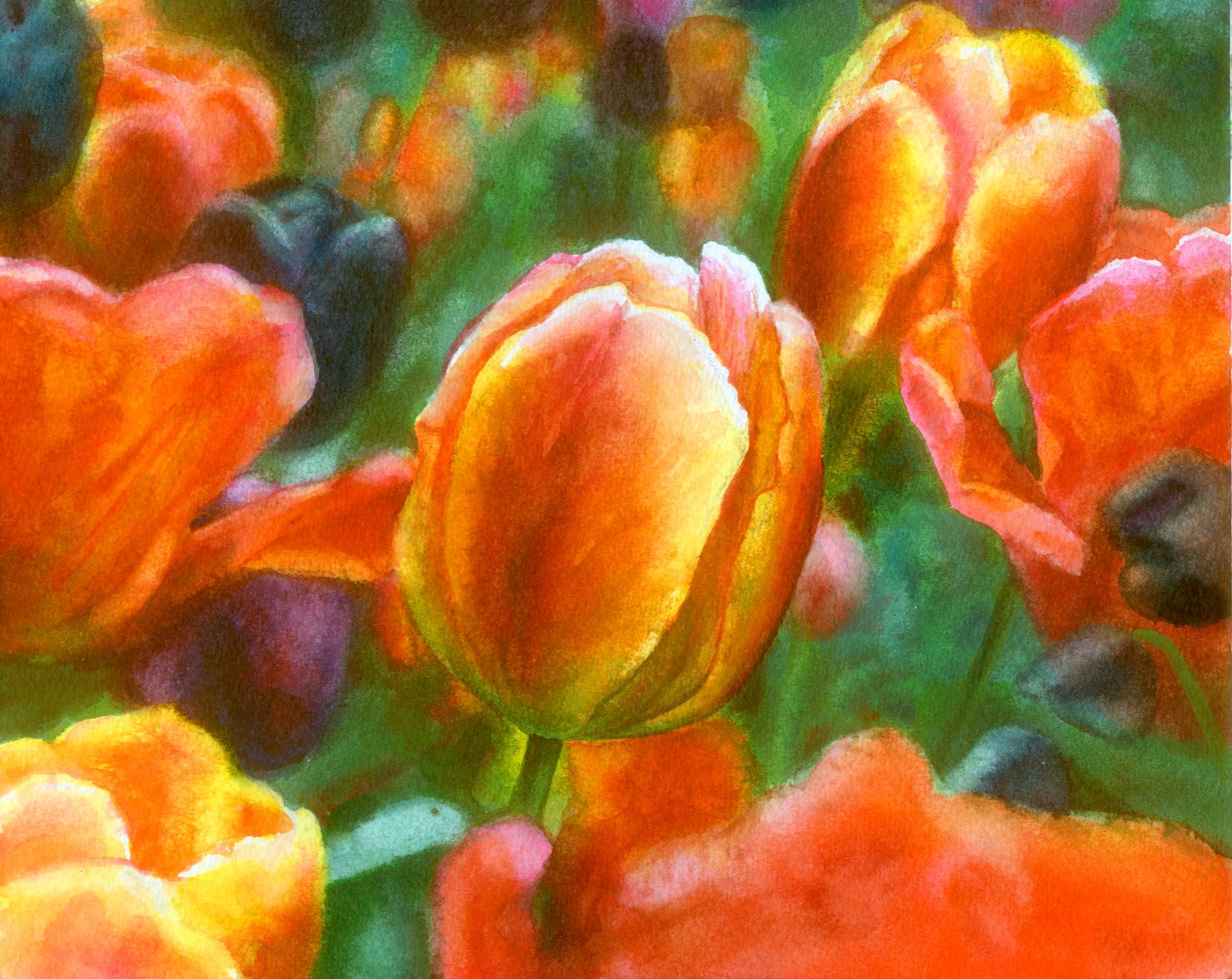 基礎からの 「水彩・色鉛筆画」