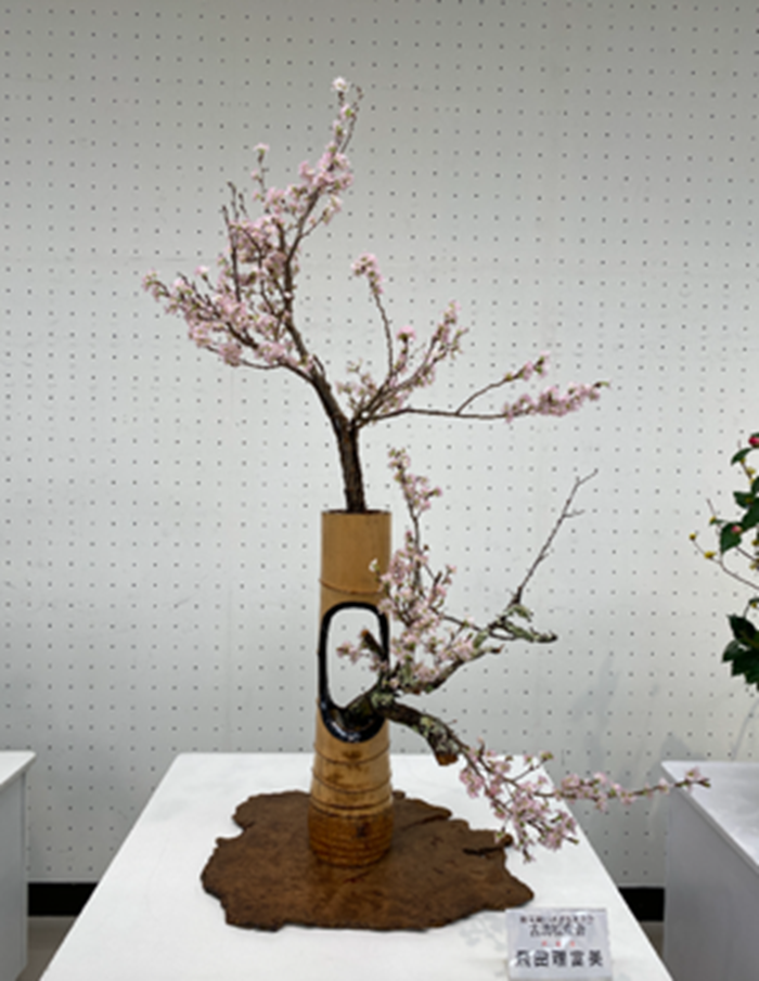 いけばな 古典～アートまで 春の新講座 4/18(土)特別体験会