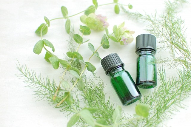 身近な植物で作る美容オイル 和ハーブ美容オイル作り(全4回) 春の新講座4/22(水)スタート