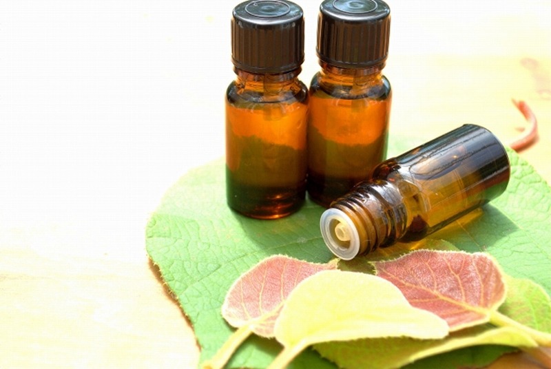 身近な植物で作る美容オイル 和ハーブ美容オイル作り(全4回) 春の新講座4/22(水)スタート