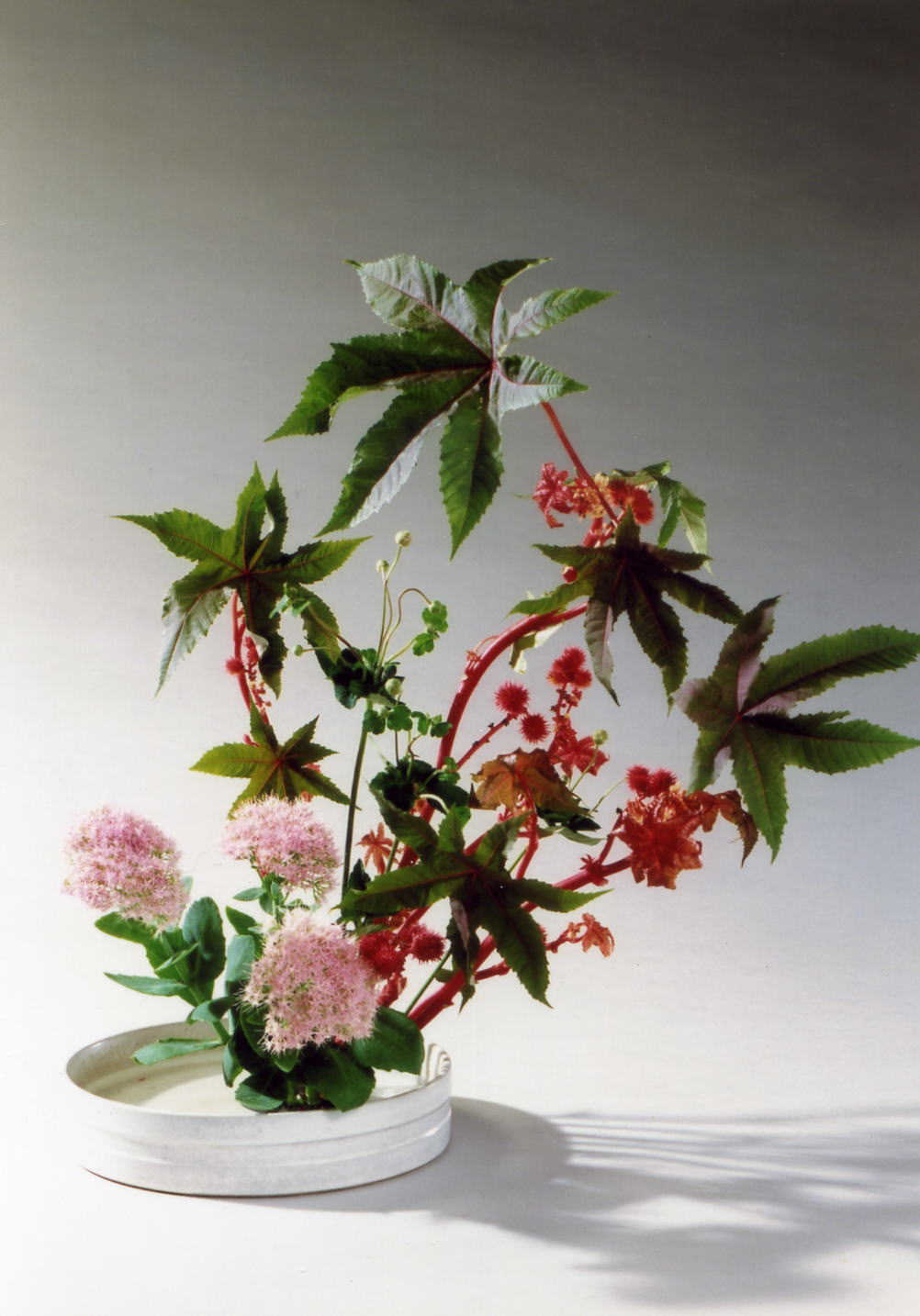 未生流中山文甫会初等科13時