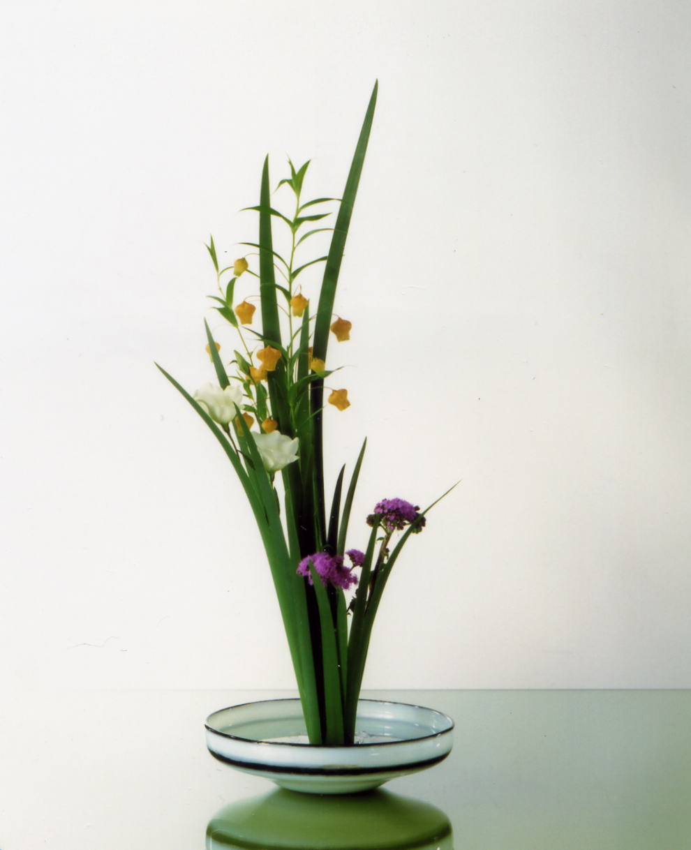 未生流中山文甫会初等科18時