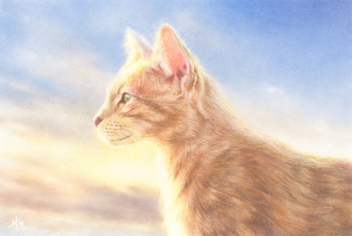 初めての方大歓迎 色鉛筆アート