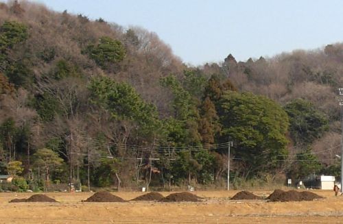 考古学・文献から紐解く 茅ヶ崎の歴史を学ぶ 春号新講座4/26(日)スタート