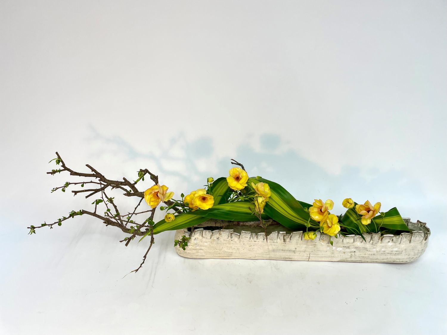 いけばな「私の花」 草月流 春号 新講座