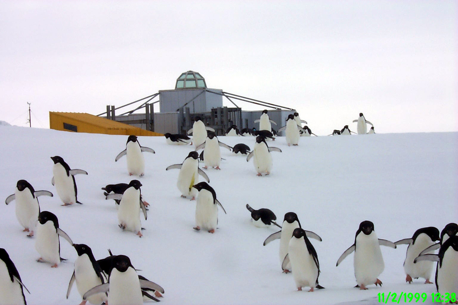 全3回 南極について学ぼう 春の新講座 3月28日・4月25日・5月23日(土)