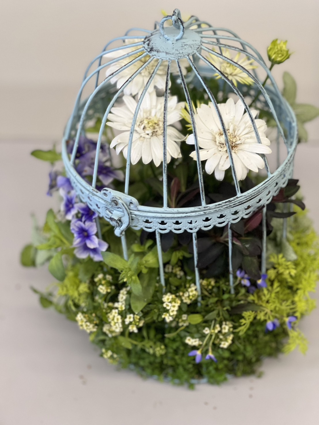 <全4回> ギャザリング® 花束みたいな寄せ植え 春の新講座