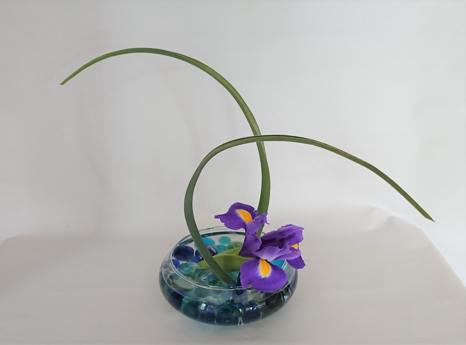 (全3回)知れば役立つ伝統の知恵 ゼロからのいけばな