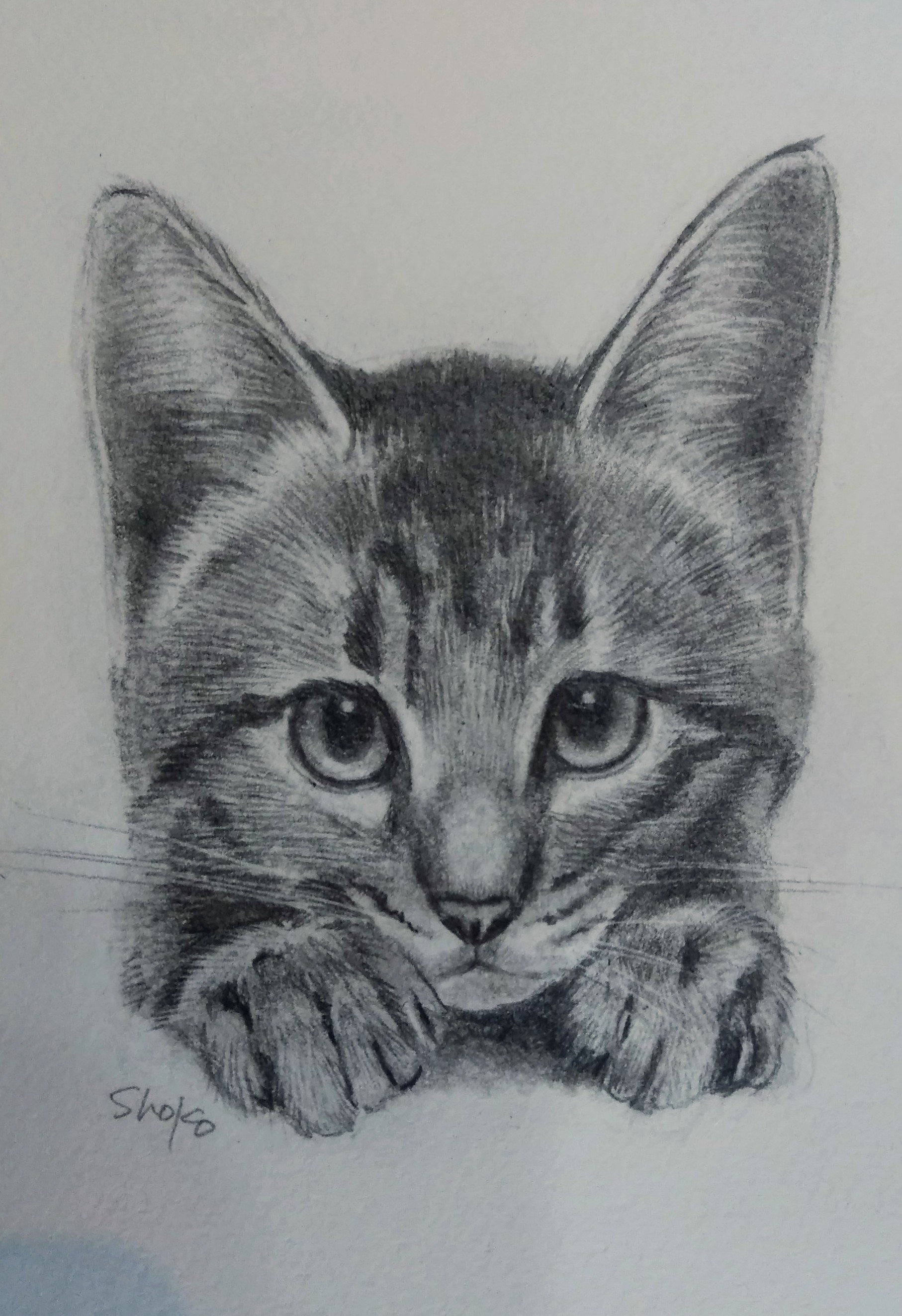 はじめてのえんぴつ画 春の新講座 4月13日(月)特別体験会