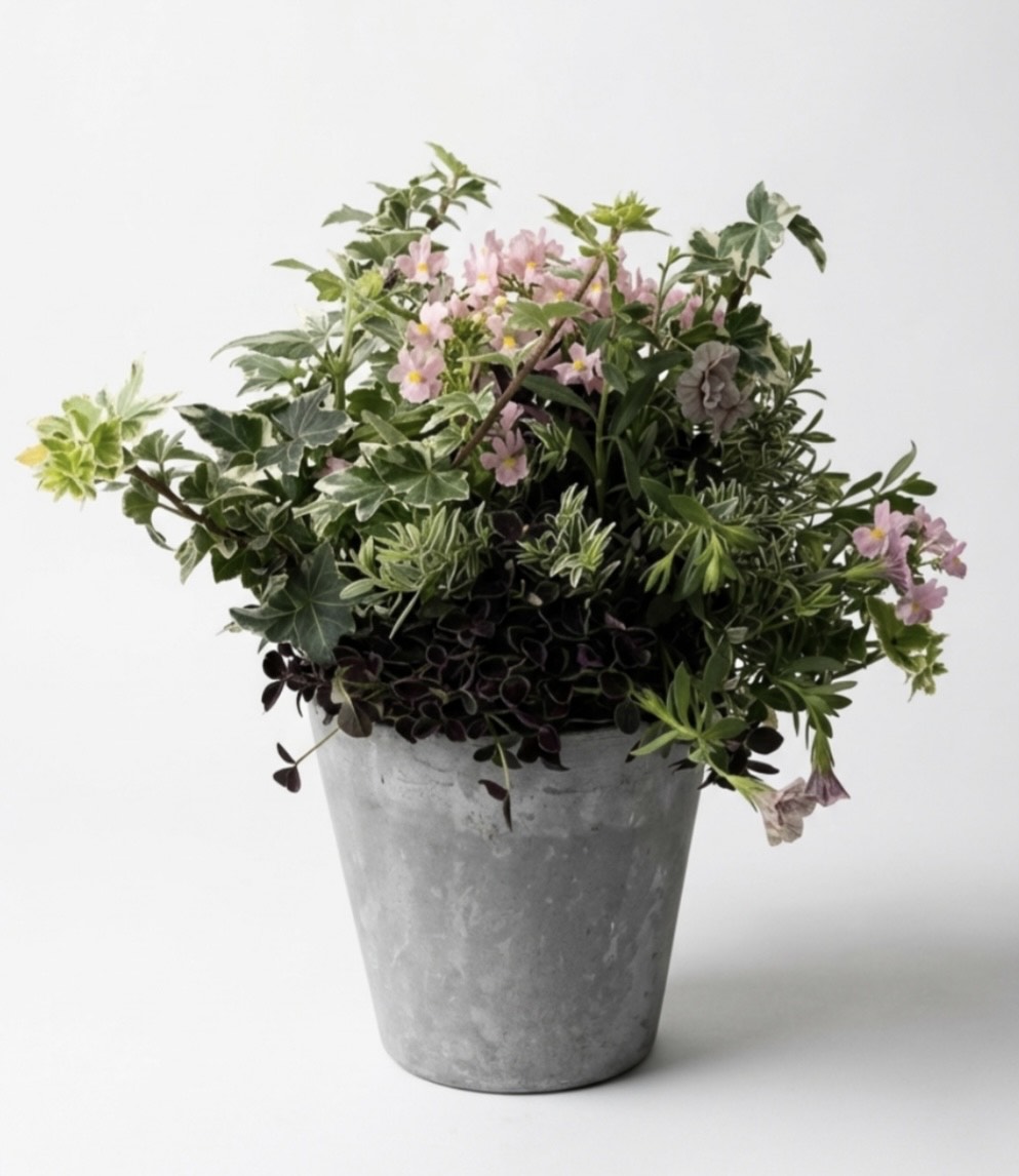 根付きのフラワーアレンジメント ブリコラージュフラワー 春の1DAY講座