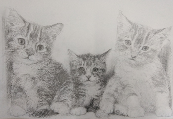 初めての方歓迎!基礎から始める ★基礎デッサン 春の新講座4/14(火)特別体験会