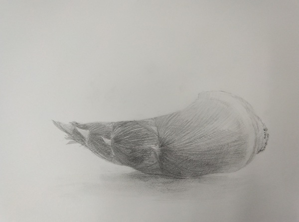 初めての方歓迎!基礎から始める ★基礎デッサン 春の新講座4/14(火)特別体験会