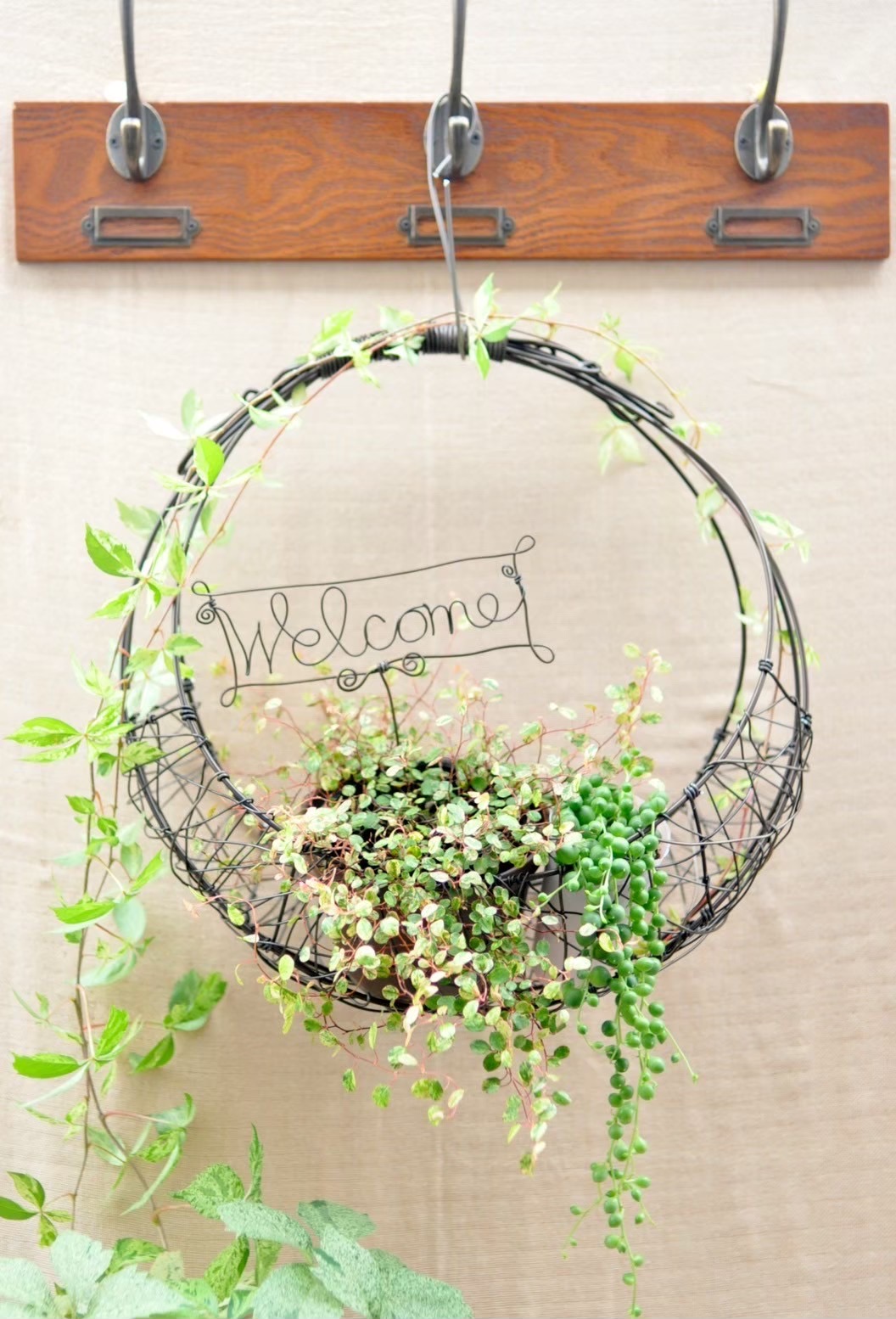 楽しくて飽きない ワイヤークラフト