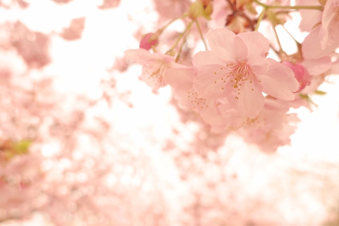 基礎からじっくり! 写真倶楽部