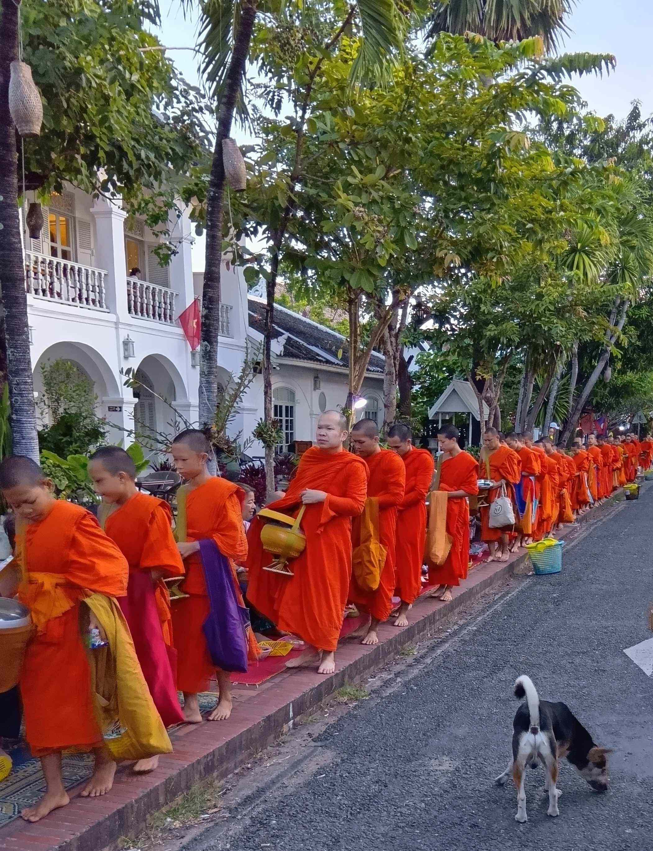 世界遺産の楽しみ方
