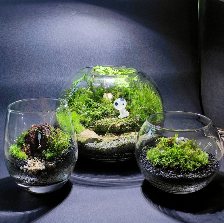 小さな緑のインテリア 苔テラリウム(全3回) 春の新講座 4/19(日)スタート