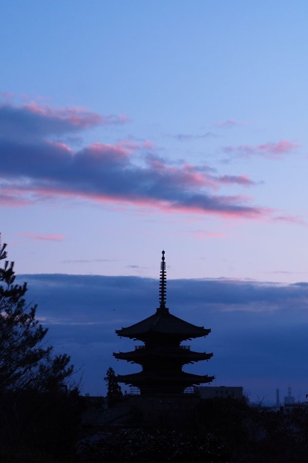 花や風景をより美しく はじめてのカメラ 春の新講座 4/24(金)特別体験会開催