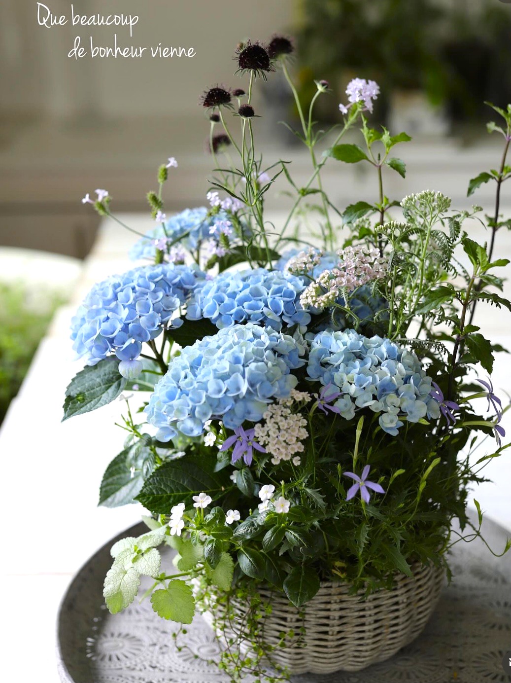 【春の新講座】根付きのフラワーアレンジメント 「ギャザリング寄せ植え」 4/21スタート♪