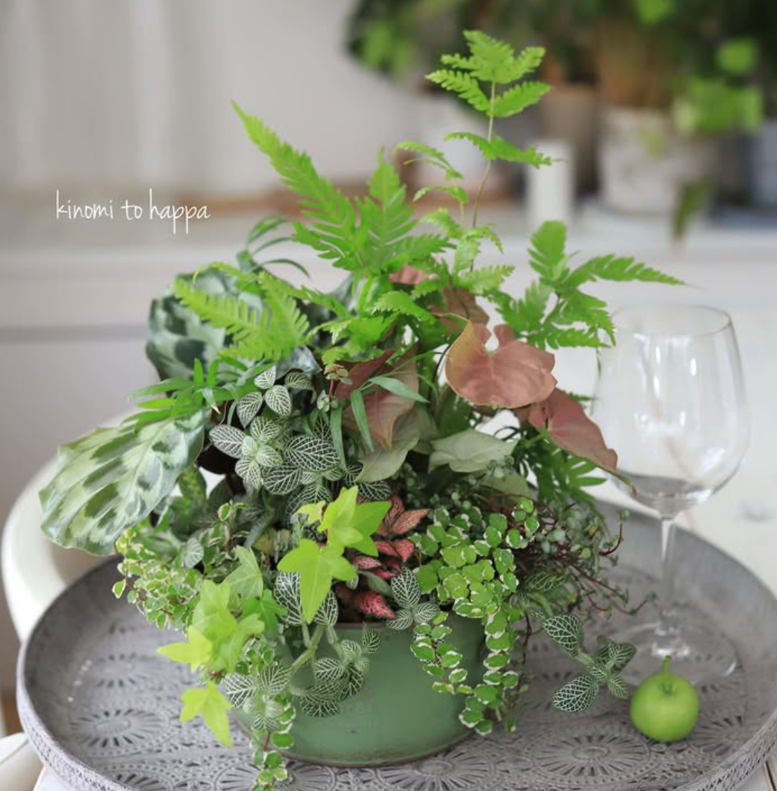 【春の新講座】根付きのフラワーアレンジメント 「ギャザリング寄せ植え」 4/21スタート♪