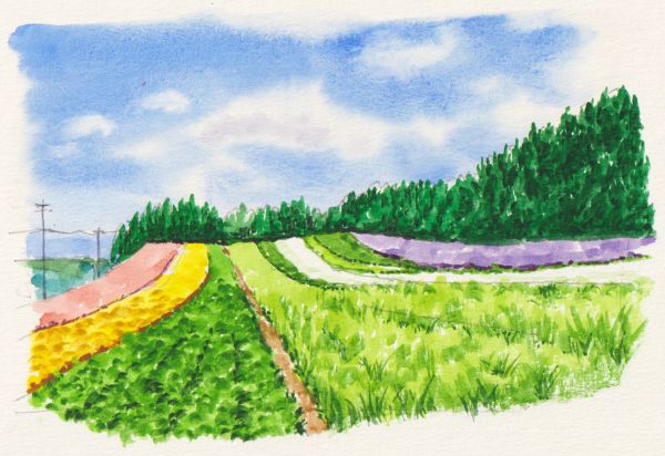 絵心よりもルールで描く 絵の描き方 基礎の基礎 春の新講座 4/3(金)特別体験会開催