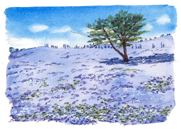 絵心よりもルールで描く 絵の描き方 基礎の基礎 春の新講座 4/3(金)特別体験会開催