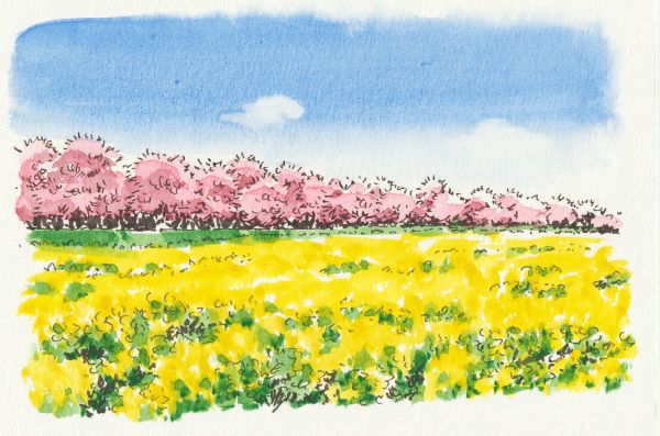 絵心よりもルールで描く 絵の描き方 基礎の基礎 春の新講座 4/3(金)特別体験会開催