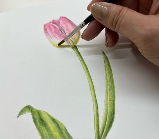 人気のため増設! ★小さなボタニカルアート 春の新講座 4/9新講座体験会