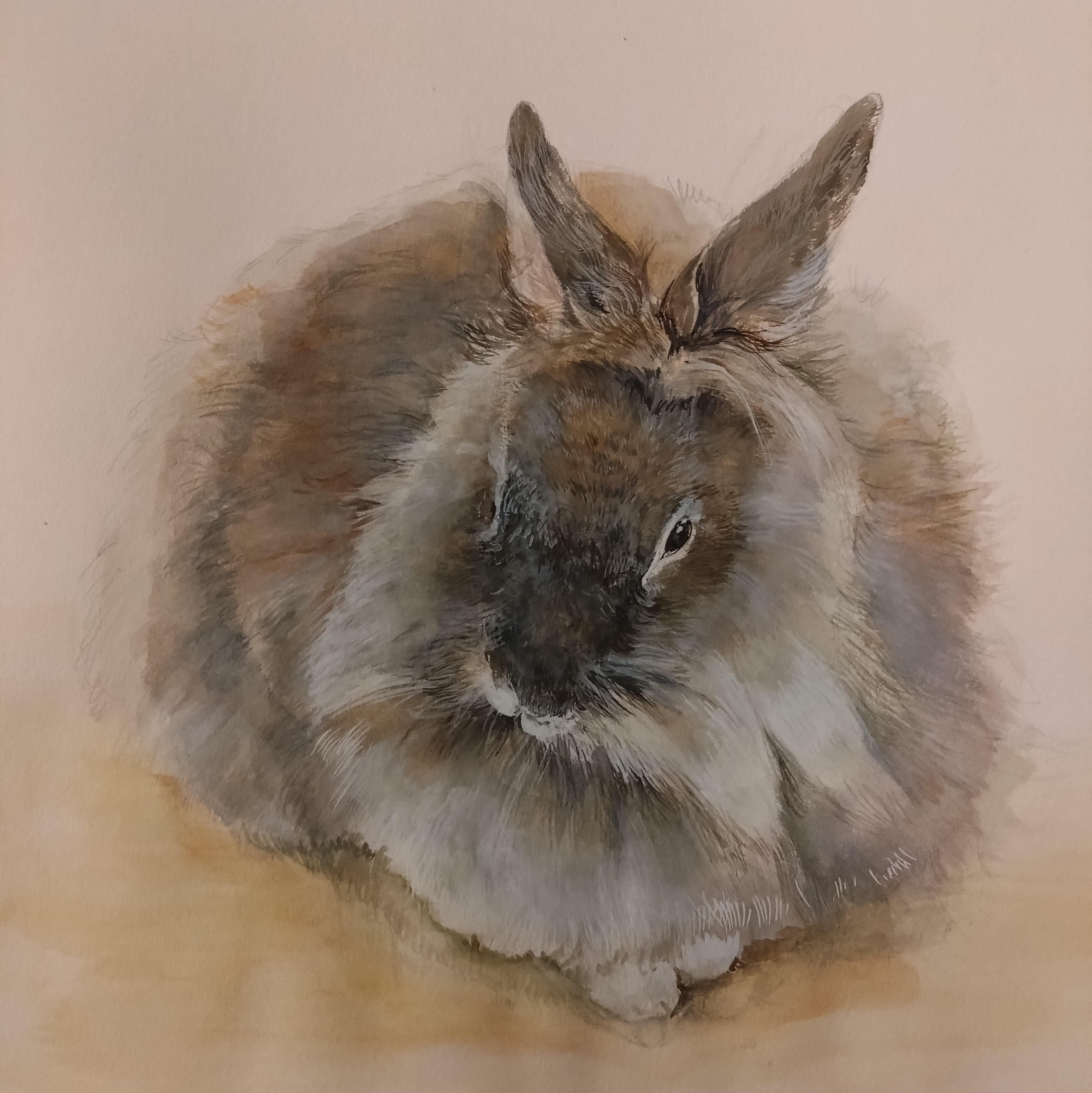 【春の新講座】 身近なものを描こう 「気軽に水彩画」 4/15(水)特別体験会 880円