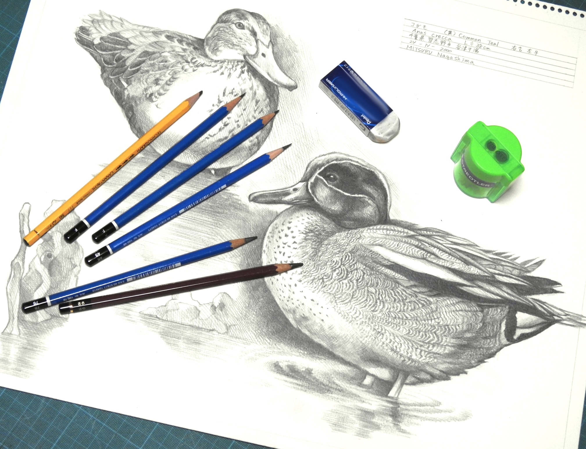 スケッチ、デッサンから鉛筆画まで 鉛筆1本で絵を描こう! 新講座 4/3(金)特別体験会