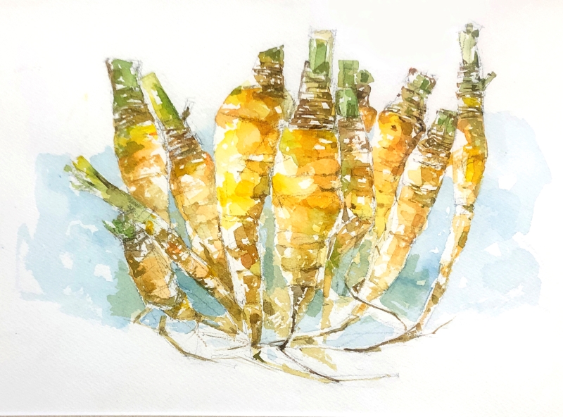 淡彩スケッチ 春号 おすすめ見学会 3/20・4/3(金)