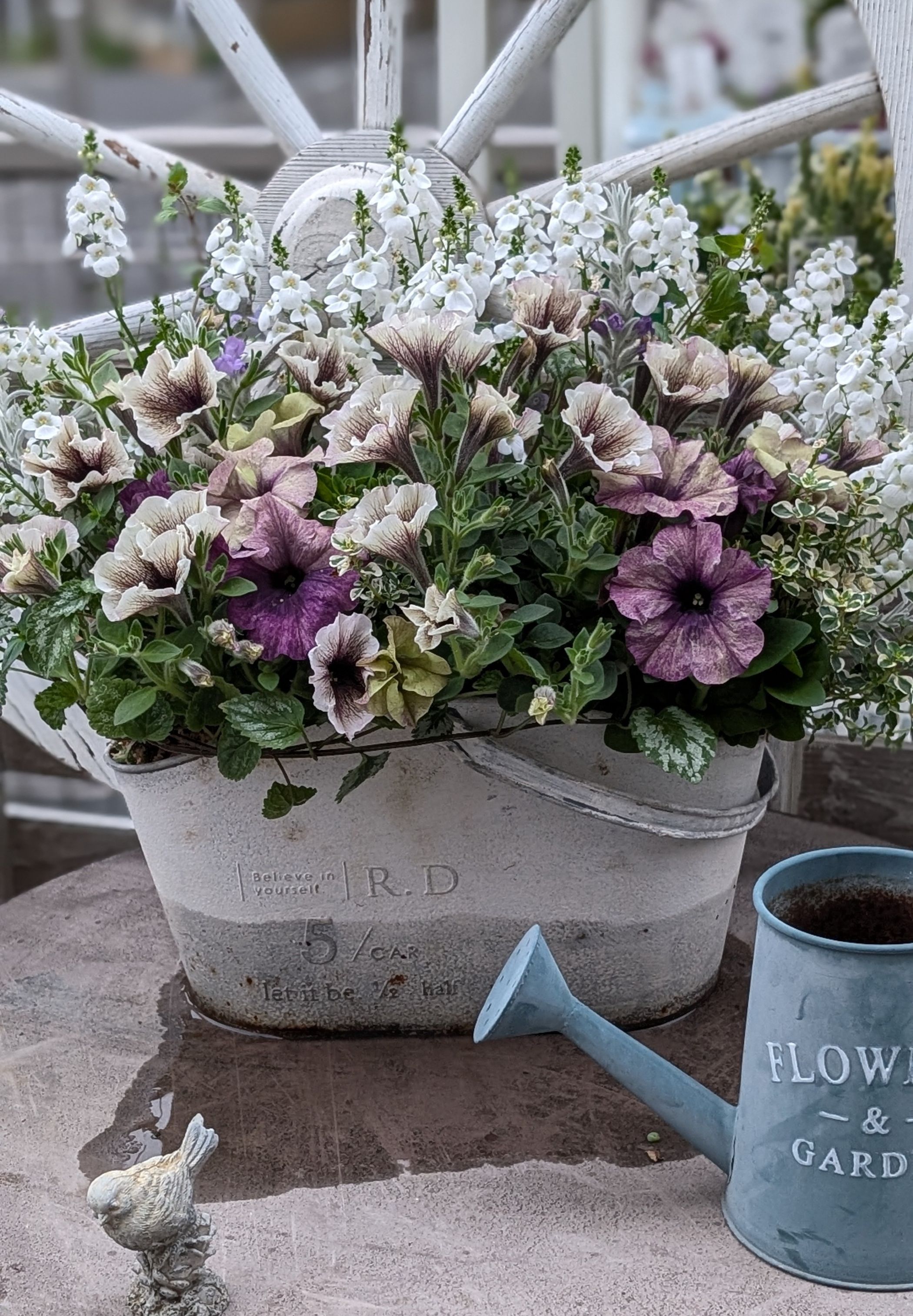 花束みたいな寄せ植え 寄せ植えギャザリング