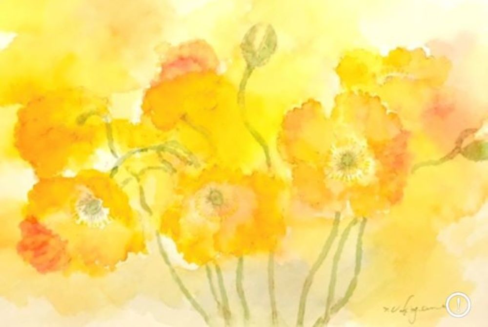 初心者のための デッサンと水彩画