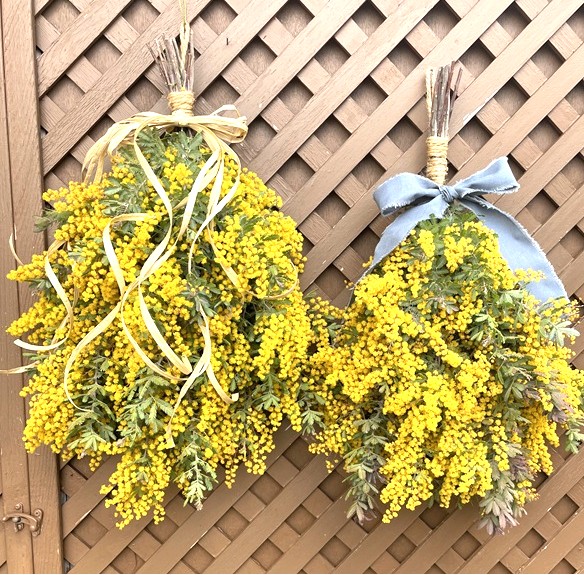 春彩るミモザのリース&スワッグ