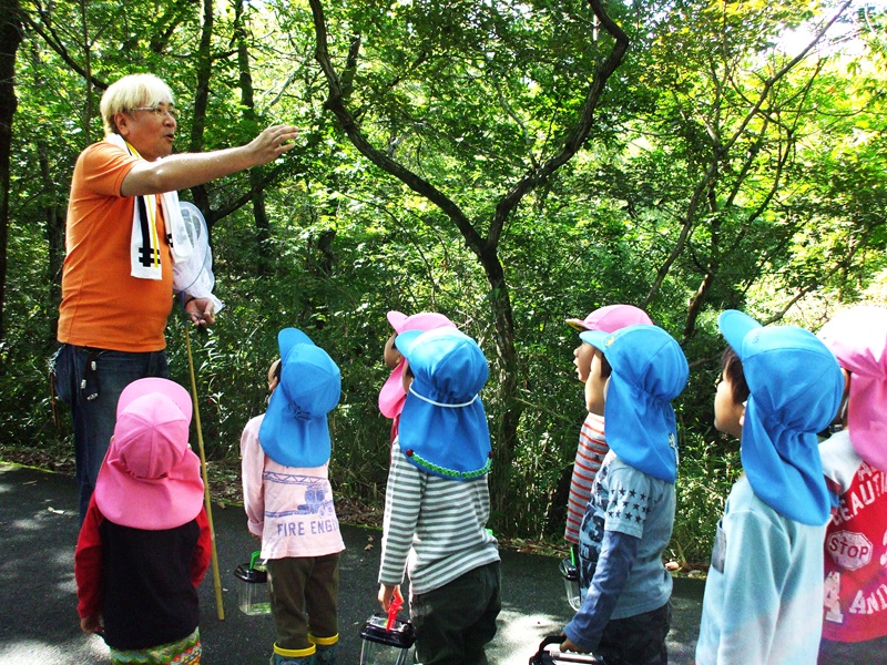子どもも大人も夢中になる 昆虫標本も作れる昆虫教室(幼小学) 春の新講座 説明会4月11日