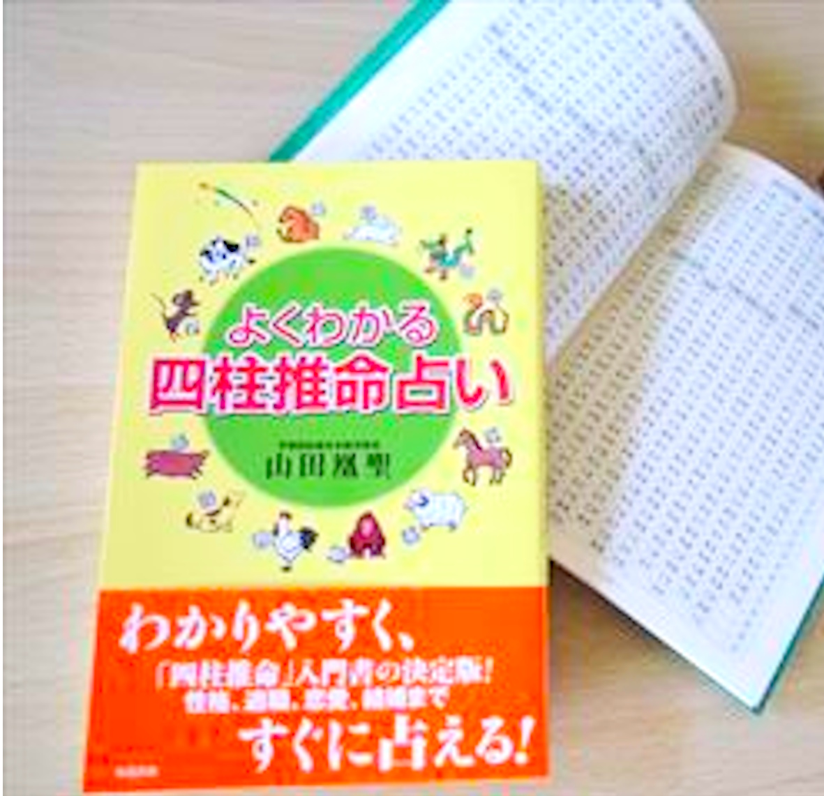 よくわかる四柱推命占い・2026年新期生