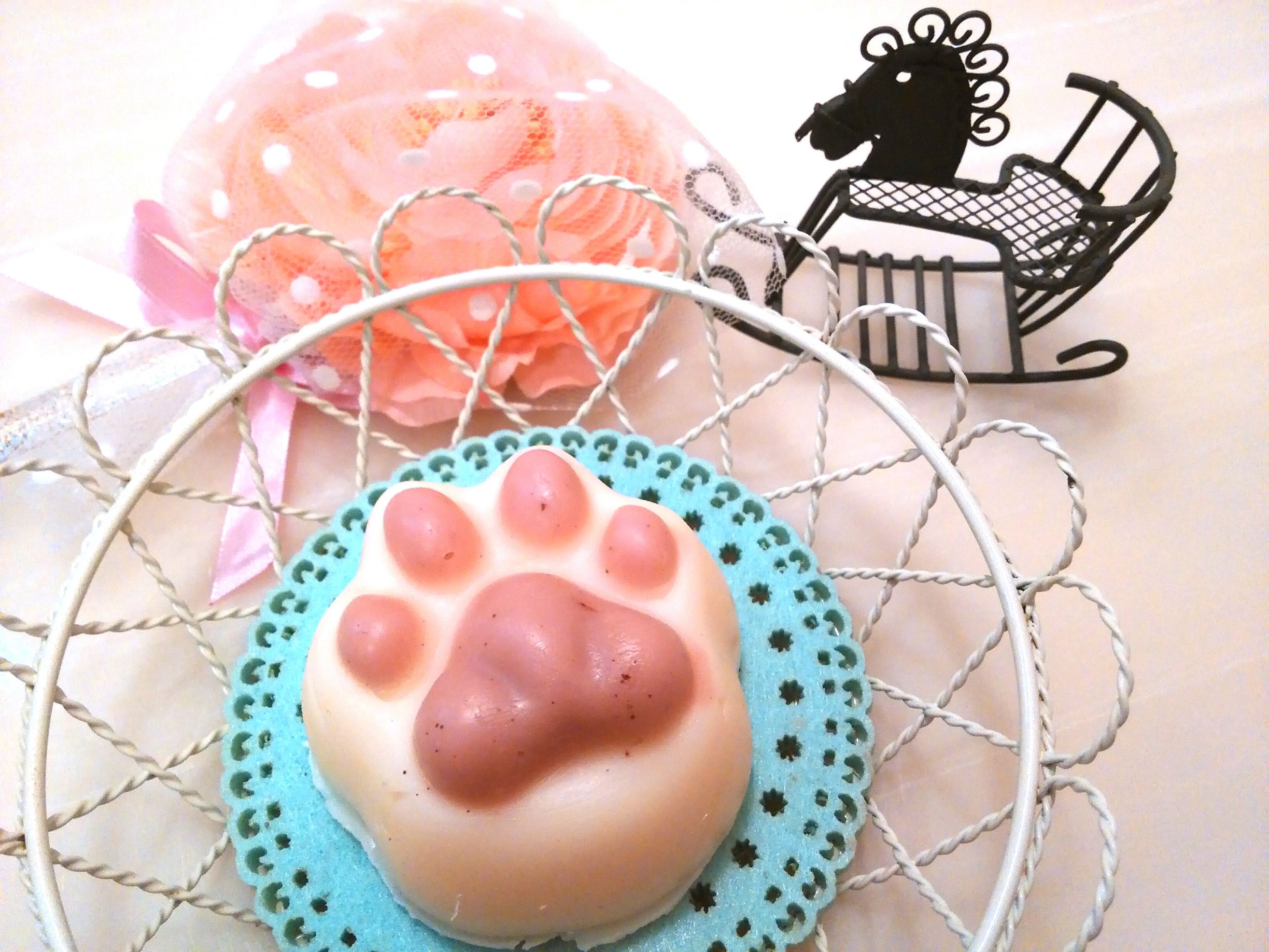 家族丸ごと健康に♡ 愛犬の推し活講座【全4回】 ★春の新講座★4/2スタート予定!