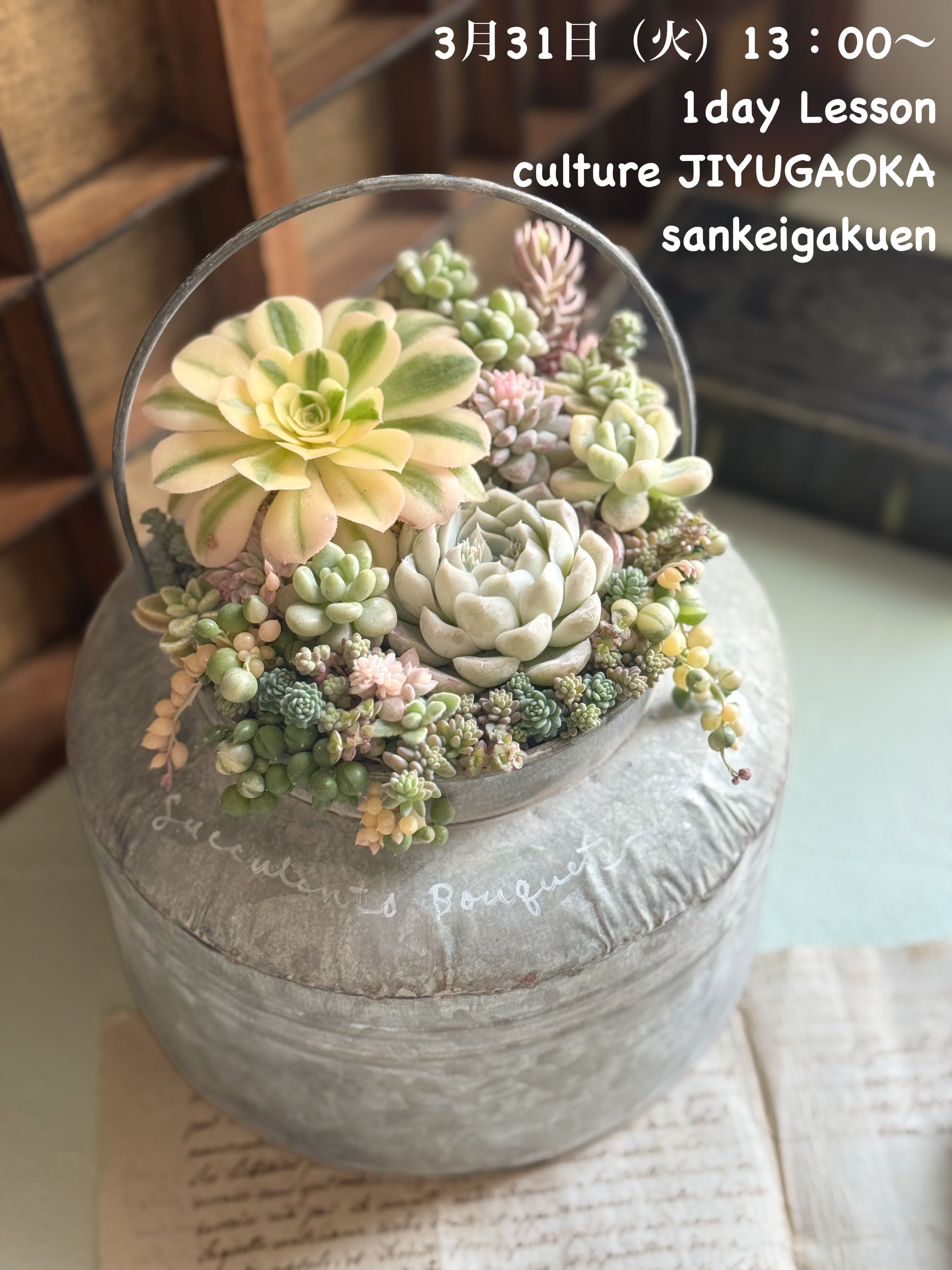 おしゃれスタイリング 多肉植物の寄せ植え 3/31