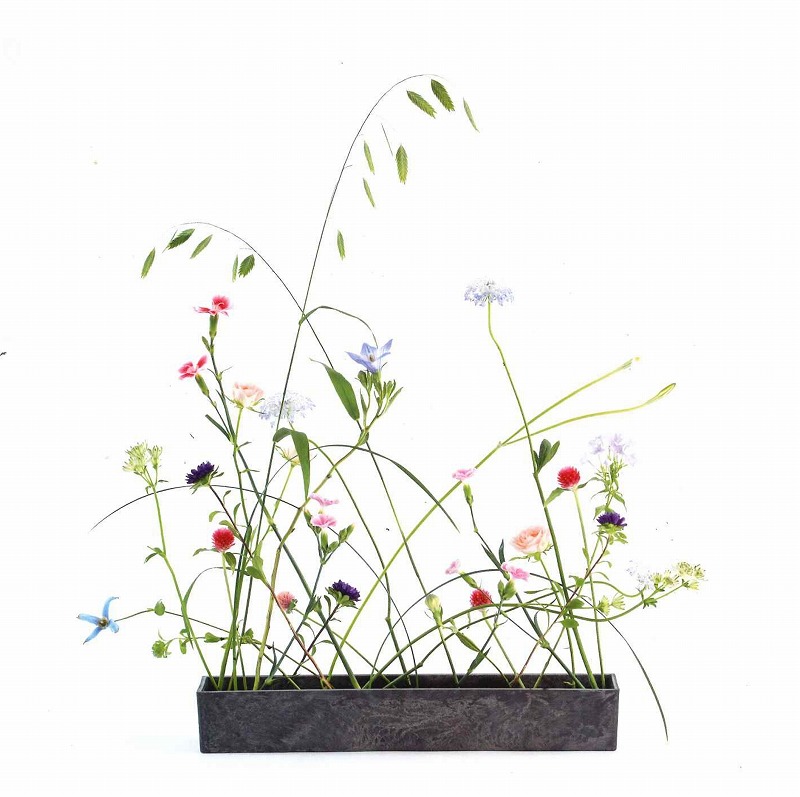 フラワーデザインNFD3級資格取得 春の新講座3月25日(水)・4月8日(水)特別体験会開催