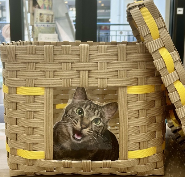 愛情たっぷり手作り ねこちぐら作り【全3回】 春号の新講座4/8水スタート