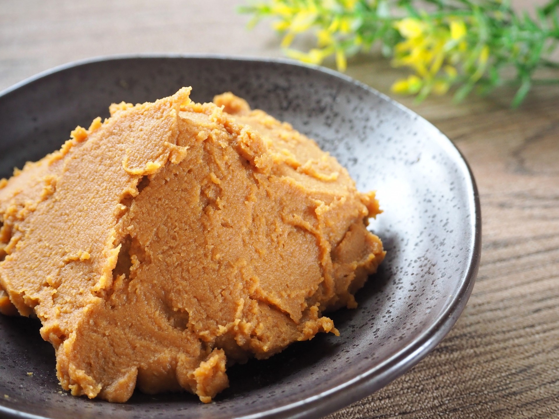 春の新講座 ★絶品!高級手作り味噌