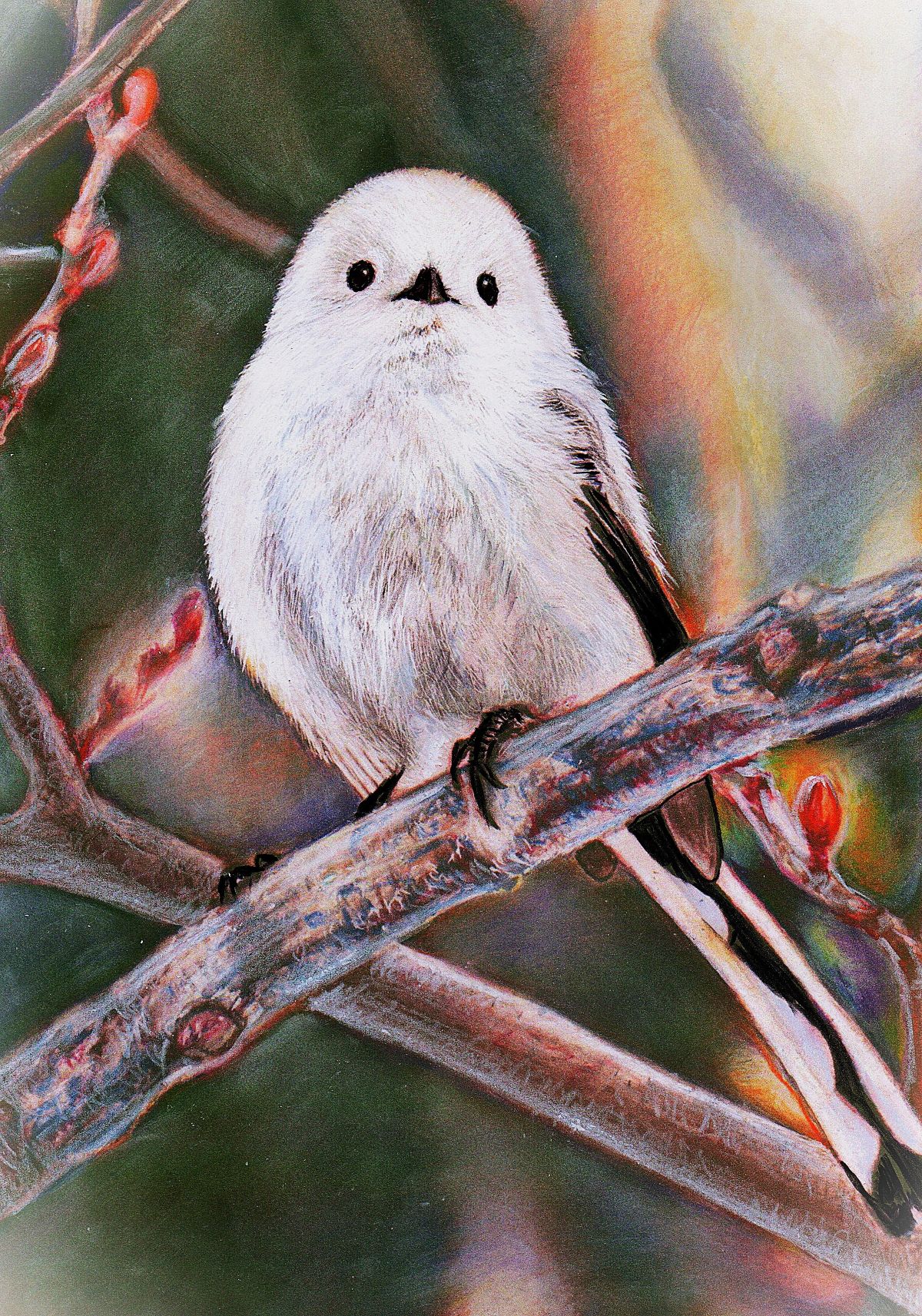 リアルに描く いろえんぴつ画