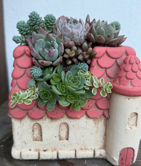 (全3回) 多肉植物の寄せ植えアレンジ 春の新講座:4/20・5/18・6/15