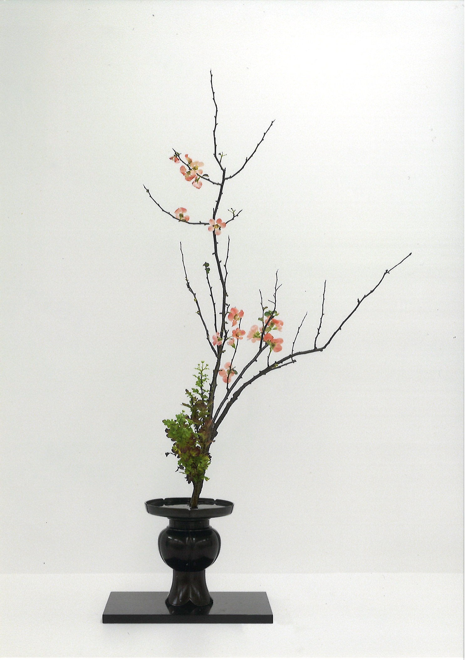 おしゃれな季節の生け花 美しい池坊