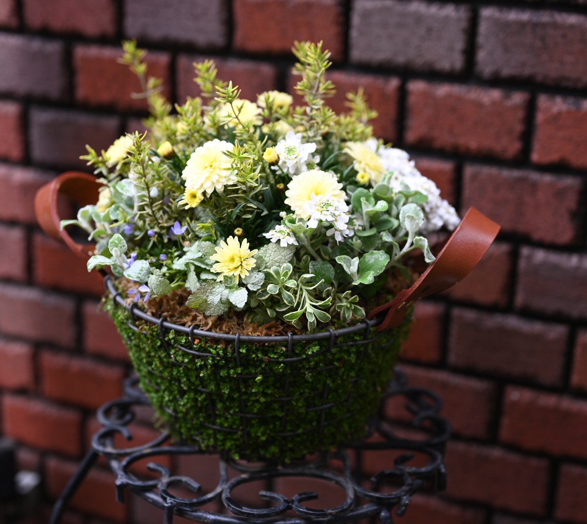 人気の新しい寄せ植え技法 ギャザリング寄せ植え 夏のおすすめ講座 6/4(木)特別体験会開催