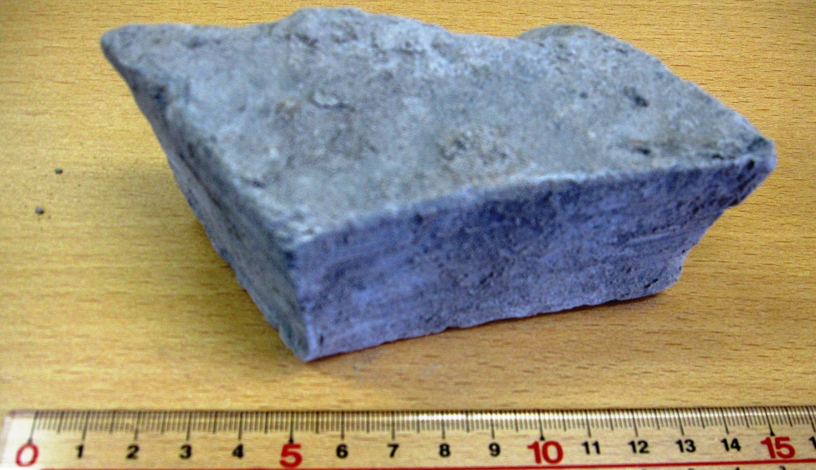 ～昔の湖にたまった泥岩の石をハンマーで割ってみたら!～ 化石発掘