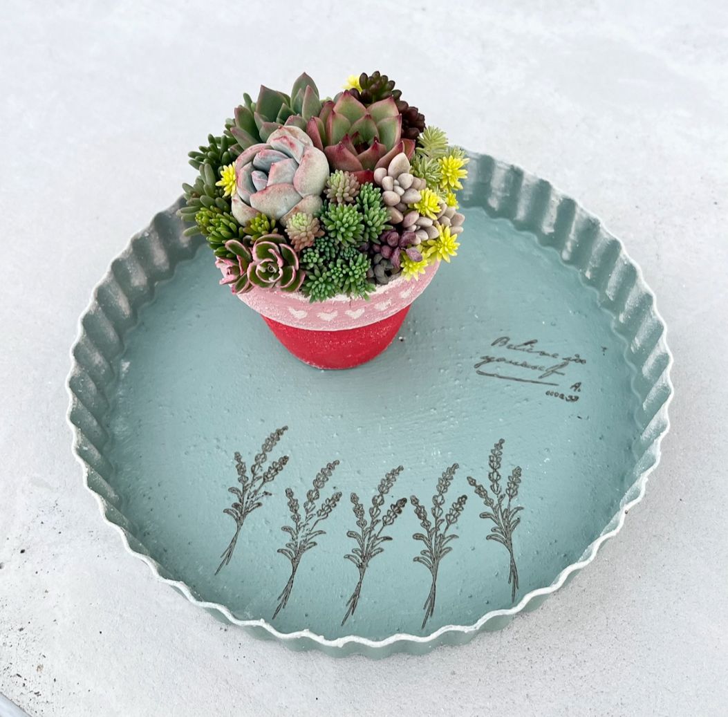 自分好みで 多肉植物の寄せ植え 5/23(土)スペシャル講座