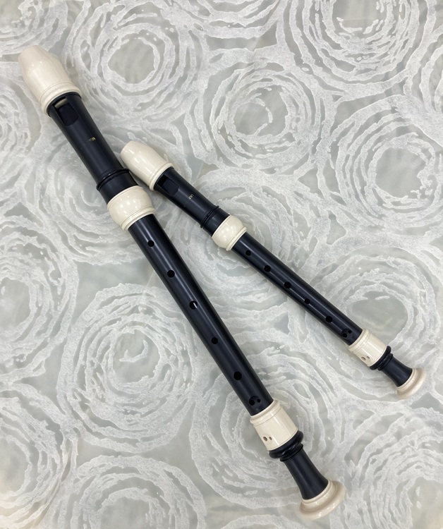 大人も子供も温かな音色で奏でます 心ときめくリコーダー(30分個人) 夏の新講座 体験日6/1(月) 要時間予約