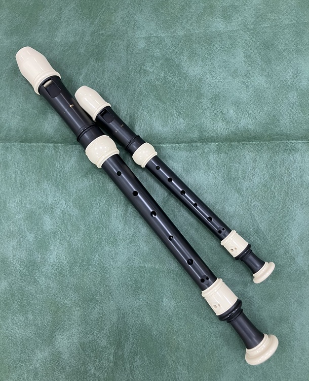 大人も子供も温かな音色で奏でます 心ときめくリコーダー(30分個人) 夏の新講座 体験日6/1(月) 要時間予約