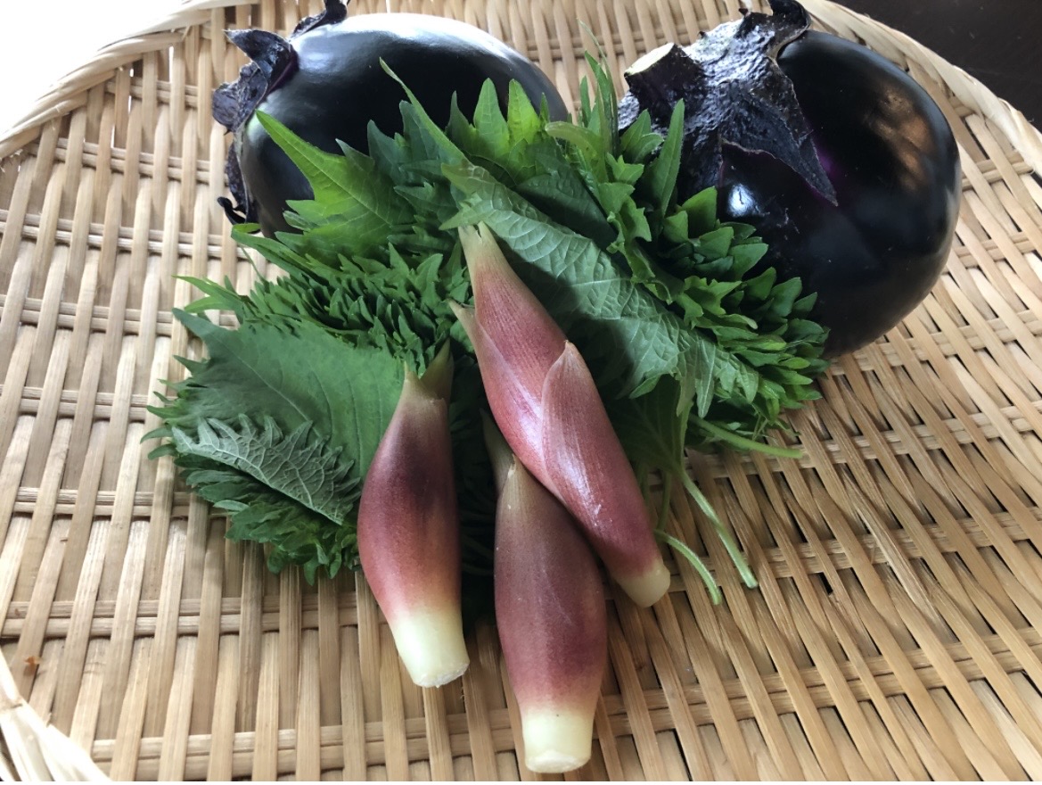 発酵食を楽しむ 手づくり金山寺みそ 夏の新講座1DAY 6/5(金)