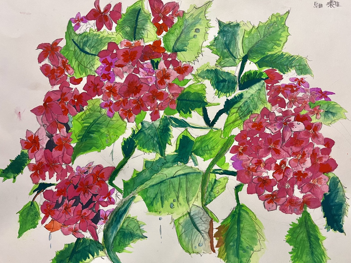 【7月25日・8月8日開催】夏休みスペシャル 夏休み絵画教室2回SP 夏の新講座7/25・8/8(土) 2回SP 登録事務手数料不要